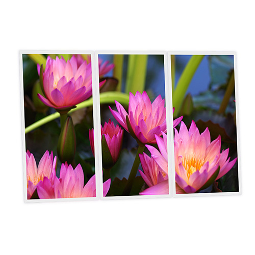 Pack 3 Dalles LED Imprimées - Aquatic plant - 1200x600mm - Usinée en France by DELITECH