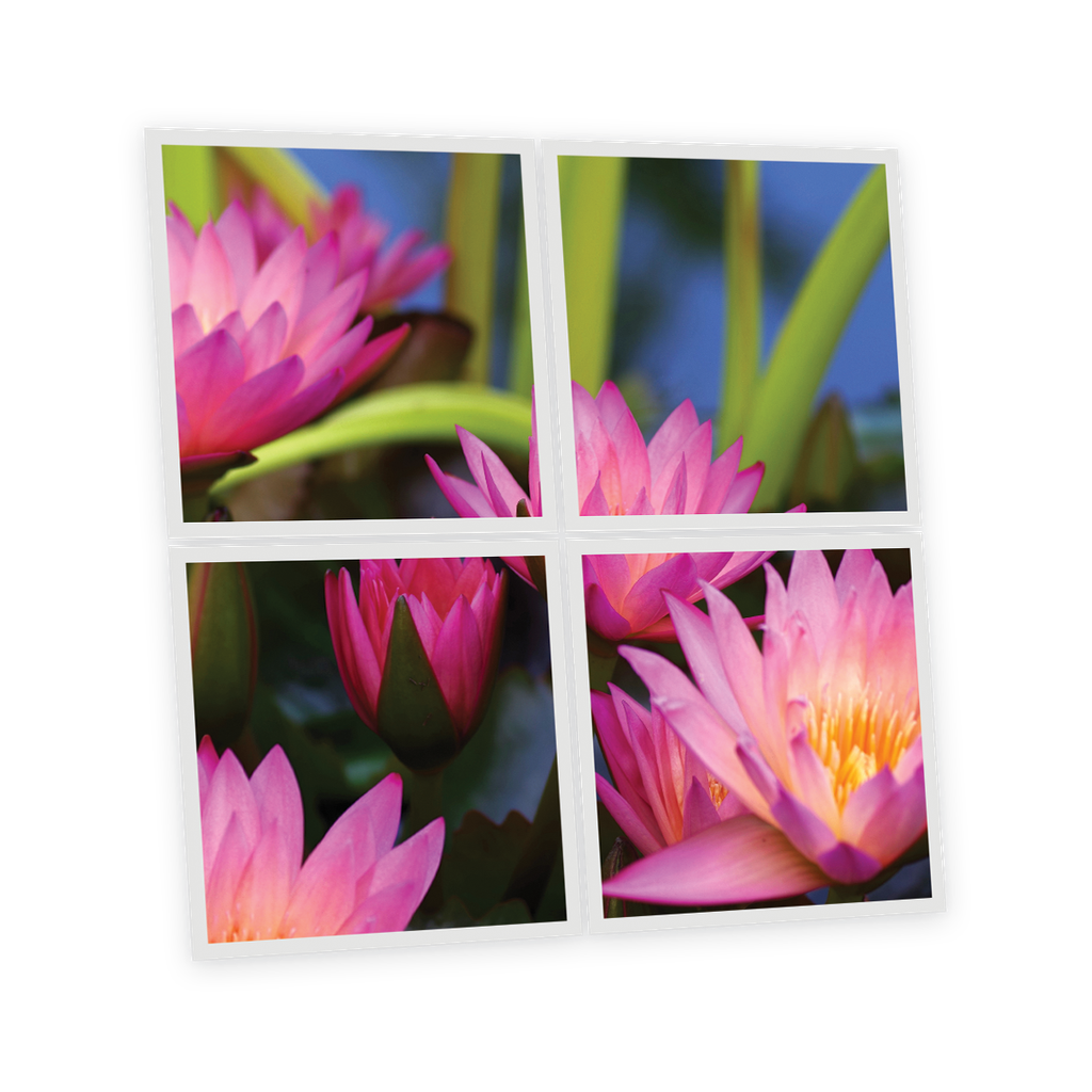 Pack 4 Dalles LED Imprimées - Aquatic plant - 600x600mm - Usinée en France by DELITECH