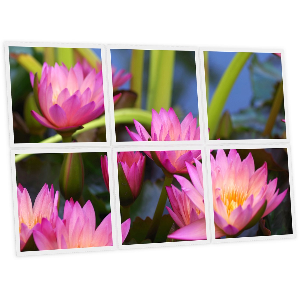 Pack 6 Dalles LED Imprimées - Aquatic plant - 600x600mm - Usinée en France by DELITECH