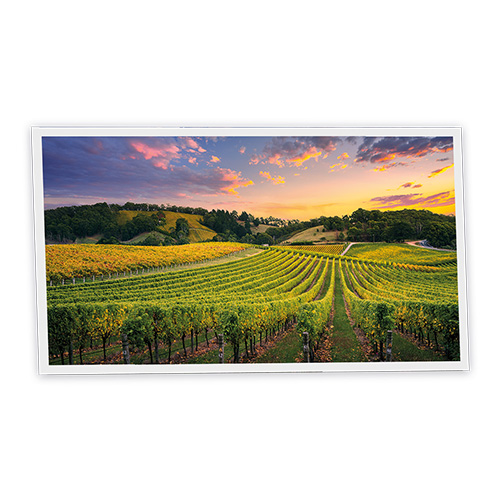 Pack 1 Dalle LED Imprimée horizontale - Vineyard - 1200x600mm - Usinée en France by DELITECH