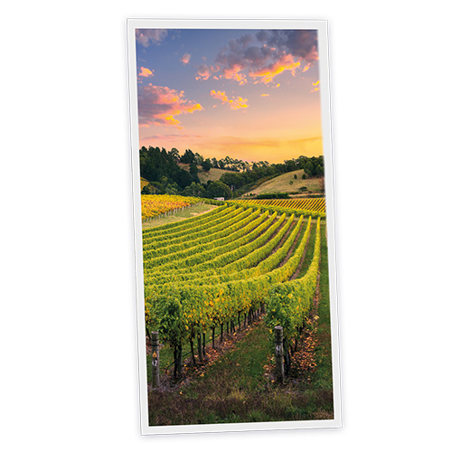 Pack 1 Dalle LED Imprimée verticale - Vineyard - 1200x600mm - Usinée en France by DELITECH