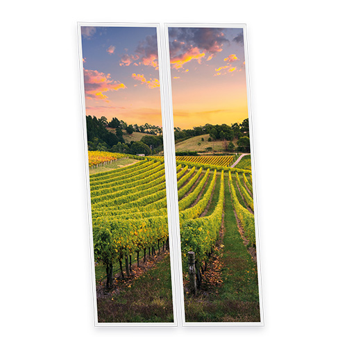 Pack 2 Dalles LED Imprimées - Vineyard - 1200x300mm - Usinée en France by DELITECH
