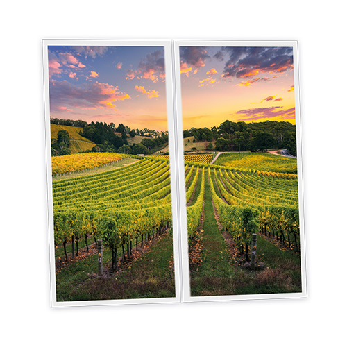 Pack 2 Dalles LED Imprimées - Vineyard - 1200x600mm - Usinée en France by DELITECH
