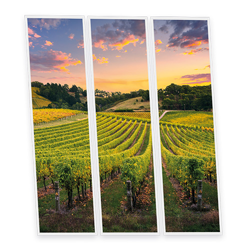 Pack 3 Dalles LED Imprimées - Vineyard - 1200x300mm - Usinée en France by DELITECH