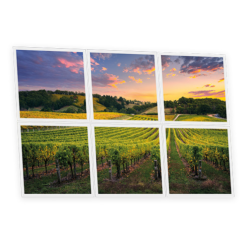 Pack 6 Dalles LED Imprimées - Vineyard - 600x600mm - Usinée en France by DELITECH