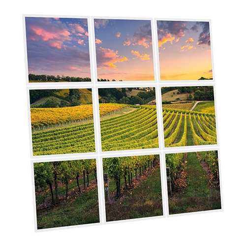 Pack 9 Dalles LED Imprimées - Vineyard - 600x600mm - Usinée en France by DELITECH