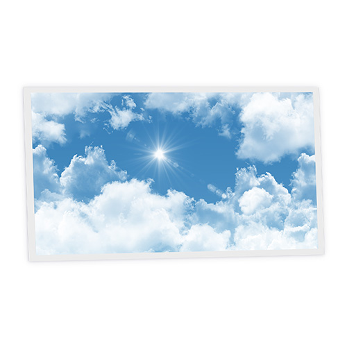 [DT1-SHI-12060-X1H] Pack 1 Dalle LED Imprimée horizontale - Sunshine - 1200x600mm - Usinée en France by DELITECH