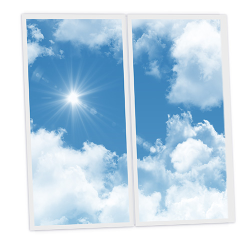 [DT1-SHI-12060-X2] Pack 2 Dalles LED Imprimées - Sunshine - 1200x600mm - Usinée en France by DELITECH