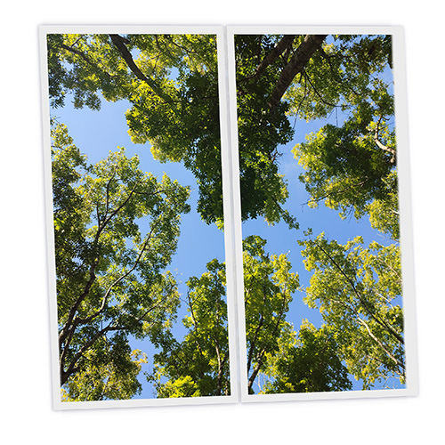 [DT1-SUM-12060-X2] Pack 2 Dalles LED Imprimées - Summer - 1200x600mm - Usinée en France by DELITECH