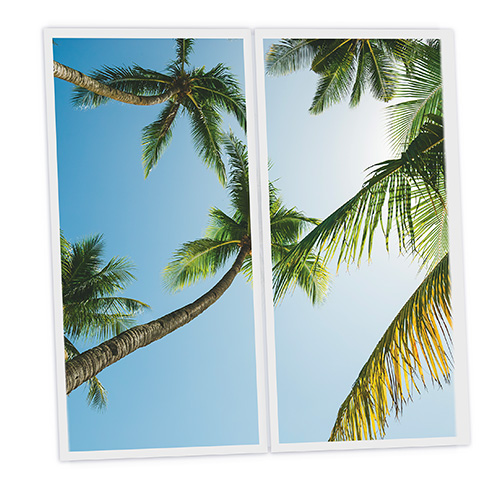 [DT1-PAL-12060-X2] Pack 2 Dalles LED Imprimées - Palm - 1200x600mm - Usinée en France by DELITECH