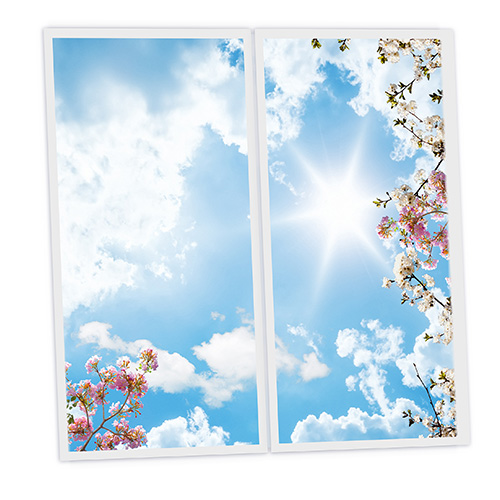 [DT1-FWS-12060-X2] Pack 2 Dalles LED Imprimées - Flowers - 1200x600mm - Usinée en France by DELITECH