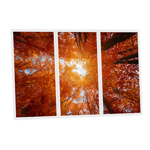 [DT1-RED-12060-X3] Pack 3 Dalles LED Imprimées - Red tree - 1200x600mm - Usinée en France by DELITECH