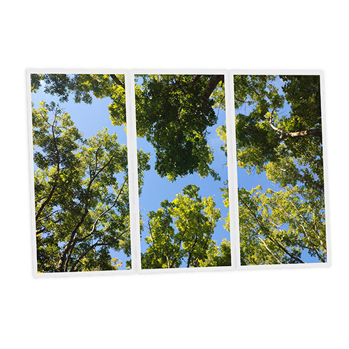 [DT1-SUM-12060-X3] Pack 3 Dalles LED Imprimées - Summer - 1200x600mm - Usinée en France by DELITECH
