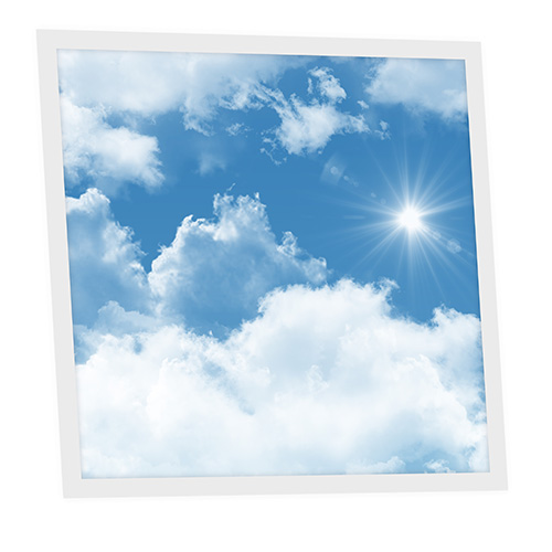 [DT1-SHI-6060-X1] Pack 1 Dalle LED Imprimée - Sunshine - 600x600mm - Usinée en France by DELITECH