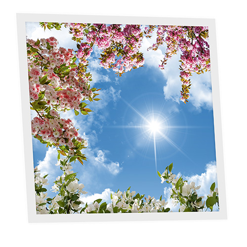 [DT1-FLO-6060-X1] Pack 1 Dalle LED Imprimée - Flowery - 600x600mm - Usinée en France by DELITECH