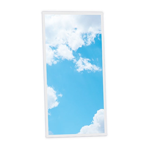 [DT1-CDY-12060-X1V] Pack 1 Dalle LED Imprimée verticale - Cloudy - 1200x600mm - Usinée en France by DELITECH