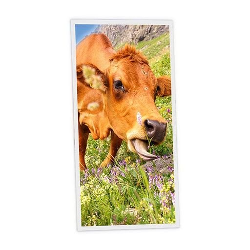 [DT1-MEA-12060-X1V] Pack 1 Dalle LED Imprimée verticale - Meadow - 1200x600mm - Usinée en France by DELITECH