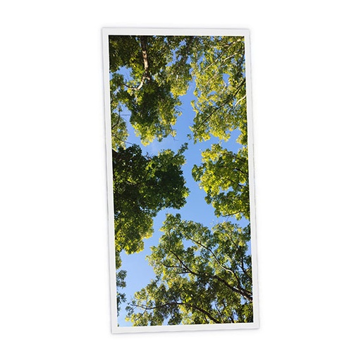 [DT1-SUM-12060-X1V] Pack 1 Dalle LED Imprimée verticale - Summer - 1200x600mm - Usinée en France by DELITECH