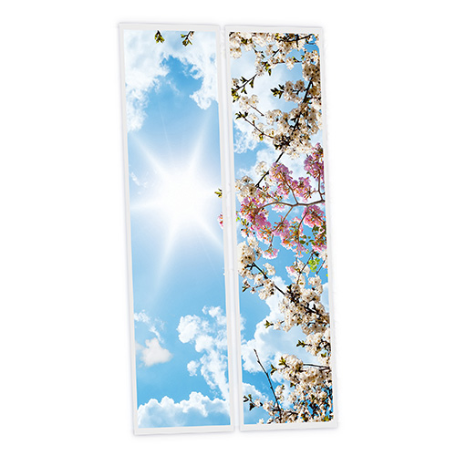 [DT1-FWS-12030-X2] Pack 2 Dalles LED Imprimées - Flowers - 1200x300mm - Usinée en France by DELITECH