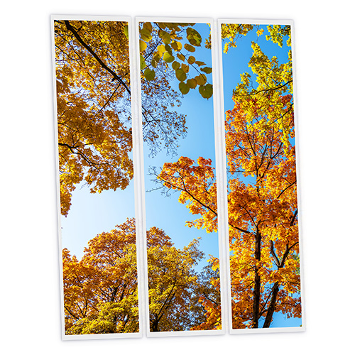 [DT1-FAL-12030-X3] Pack 3 Dalles LED Imprimées - Fall - 1200x300mm - Usinée en France by DELITECH