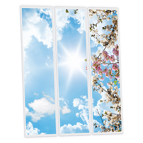 [DT1-FWS-12030-X3] Pack 3 Dalles LED Imprimées - Flowers - 1200x300mm - Usinée en France by DELITECH
