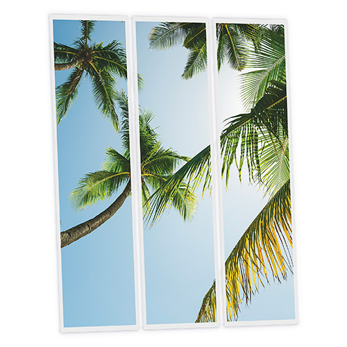 [DT1-PAL-12030-X3] Pack 3 Dalles LED Imprimées - Palm - 1200x300mm - Usinée en France by DELITECH