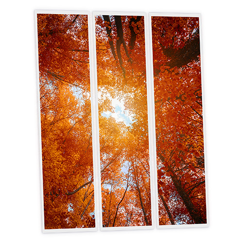 [DT1-RED-12030-X3] Pack 3 Dalles LED Imprimées - Red tree - 1200x300mm - Usinée en France by DELITECH