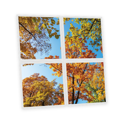 [DT1-FAL-6060-X4] Pack 4 Dalles LED Imprimées - Fall - 600x600mm - Usinée en France by DELITECH