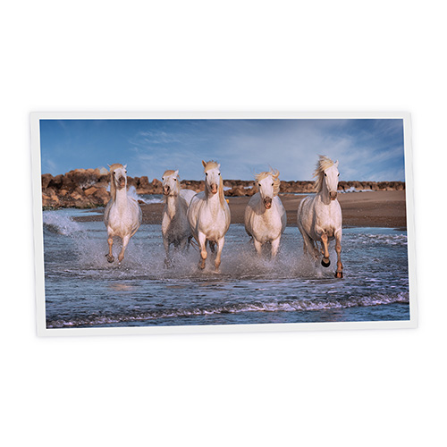 [DT1-HOR-12060-X1H] Pack 1 Dalle LED Imprimée horizontale - Horse - 1200x600mm - Usinée en France by DELITECH