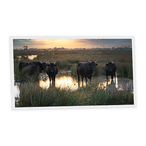 [DT1-BUL-12060-X1H] Pack 1 Dalle LED Imprimée horizontale - Bull - 1200x600mm - Usinée en France by DELITECH