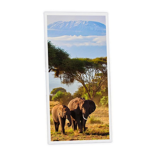 [DT1-ELE-12060-X1V] Pack 1 Dalle LED Imprimée verticale - Elephant - 1200x600mm - Usinée en France by DELITECH
