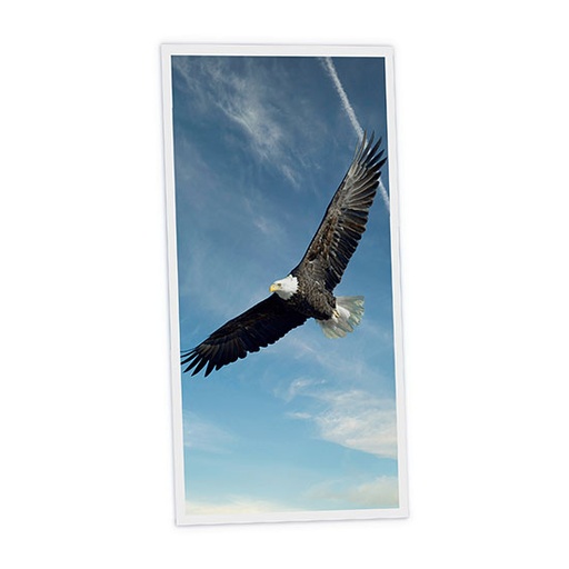 [DT1-EAG-12060-X1V] Pack 1 Dalle LED Imprimée verticale - Eagle - 1200x600mm - Usinée en France by DELITECH