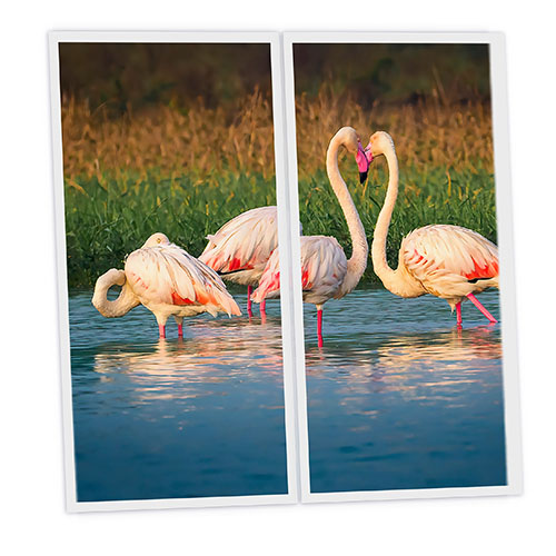 [DT1-FLA-12060-X2] Pack 2 Dalles LED Imprimées - Flamingo - 1200x600mm - Usinée en France by DELITECH