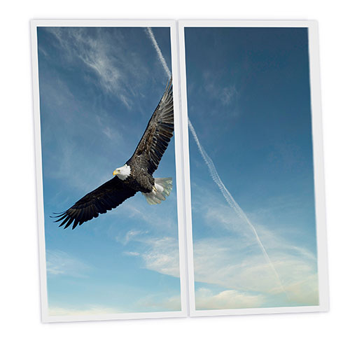 [DT1-EAG-12060-X2] Pack 2 Dalles LED Imprimées - Eagle - 1200x600mm - Usinée en France by DELITECH