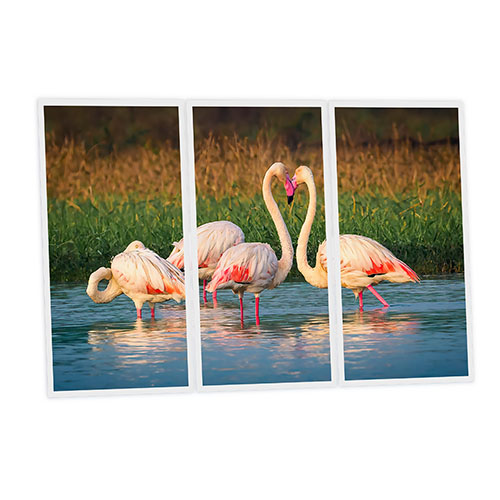 [DT1-FLA-12060-X3] Pack 3 Dalles LED Imprimées - Flamingo - 1200x600mm - Usinée en France by DELITECH