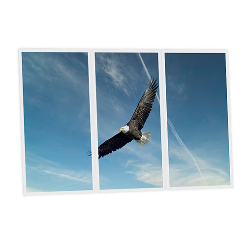 [DT1-EAG-12060-X3] Pack 3 Dalles LED Imprimées - Eagle - 1200x600mm - Usinée en France by DELITECH
