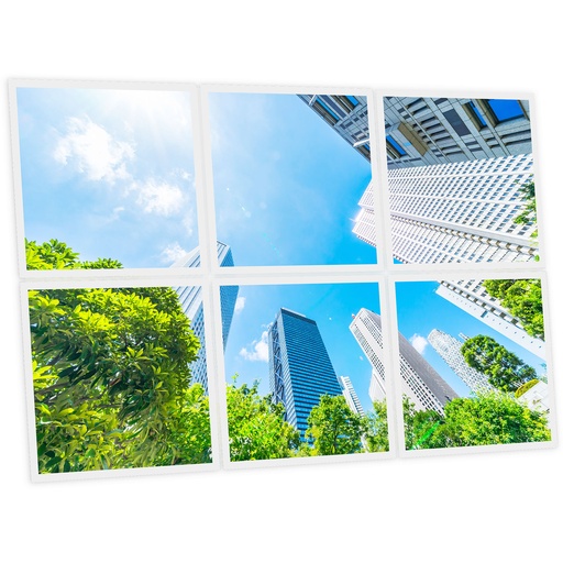 [DT1-ASI-6060-X6] Pack 6 Dalles LED Imprimées - Asia - 600x600mm - Usinée en France by DELITECH