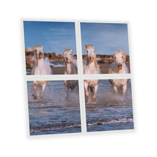 [DT1-HOR-6060-X4] Pack 4 Dalles LED Imprimées - Horse - 600x600mm - Usinée en France by DELITECH