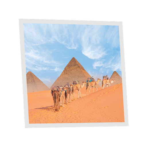 [DT1-CAM-6060-X1] Pack 1 Dalle LED Imprimée - Camel - 600x600mm - Usinée en France by DELITECH