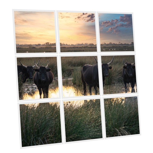 [DT1-BUL-6060-X9] Pack 9 Dalles LED Imprimées - Bull - 600x600mm - Usinée en France by DELITECH