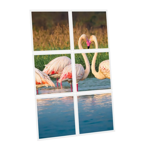 [DT1-FLA-6060-X6] Pack 6 Dalles LED Imprimées - Flamingo - 600x600mm - Usinée en France by DELITECH