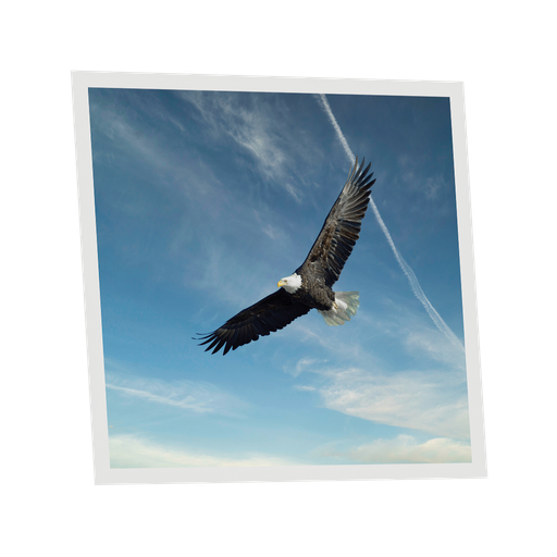 [DT1-EAG-6060-X1] Pack 1 Dalle LED Imprimée - Eagle - 600x600mm - Usinée en France by DELITECH