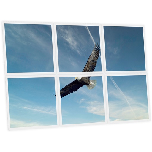 [DT1-EAG-6060-X6] Pack 6 Dalles LED Imprimées - Eagle - 600x600mm - Usinée en France by DELITECH