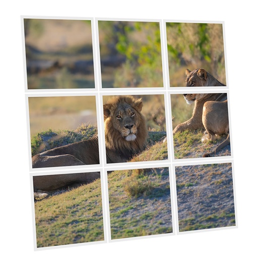 [DT1-LIO-6060-X9] Pack 9 Dalles LED Imprimées - Lion - 600x600mm - Usinée en France by DELITECH
