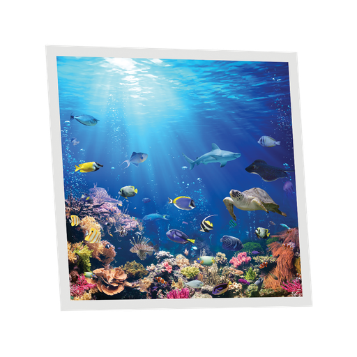 [DT1-SEA-6060-X1] Pack 1 Dalle LED Imprimée - Sea - 600x600mm - Usinée en France by DELITECH