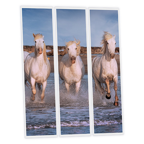 [DT1-HOR-12030-X3] Pack 3 Dalles LED Imprimées - Horse - 1200x300mm - Usinée en France by DELITECH