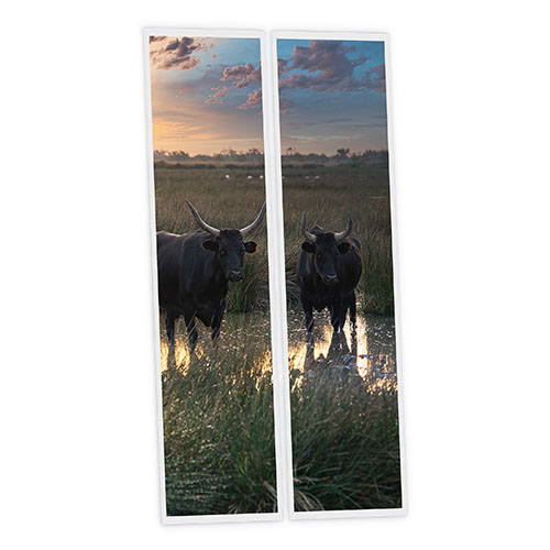 [DT1-BUL-12030-X2] Pack 2 Dalles LED Imprimées - Bull - 1200x300mm - Usinée en France by DELITECH