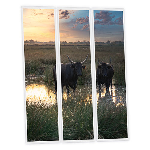 [DT1-BUL-12030-X3] Pack 3 Dalles LED Imprimées - Bull - 1200x300mm - Usinée en France by DELITECH