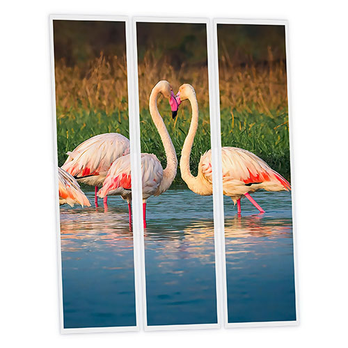 [DT1-FLA-12030-X3] Pack 3 Dalles LED Imprimées - Flamingo - 1200x300mm - Usinée en France by DELITECH