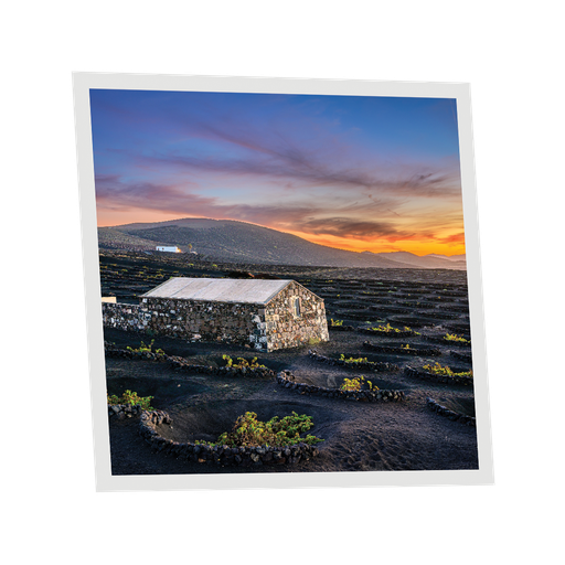 [DT1-CAN-6060-X1] Pack 1 Dalle LED Imprimée - Canary Islands - 600x600mm - Usinée en France by DELITECH